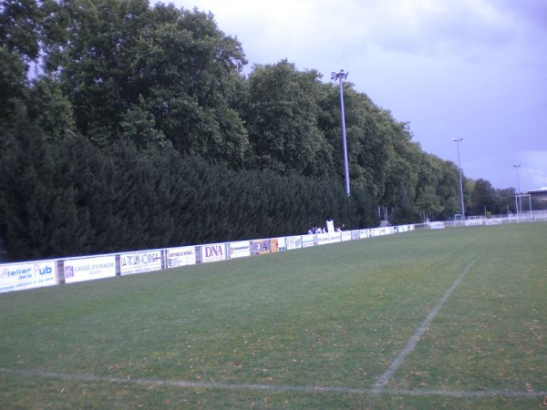 stadium photo