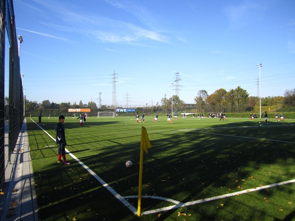 stadium photo