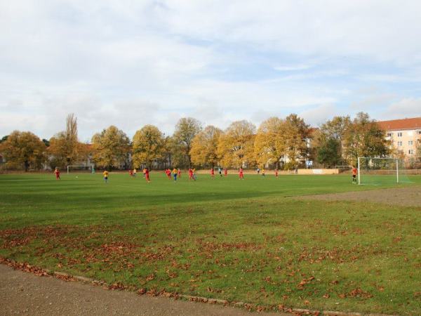 stadium photo