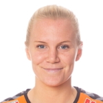 S. Rybrink