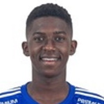 J. Raphael Januario