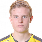 N. Björkander